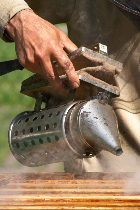 beesmoker_iStock_000001903738Small
